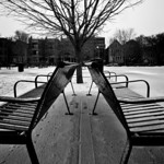 11/365: These benches are in the playground of the school that is across the street from our apartment. Sidenote...it's gross in Chicago. February, you are the bane of my existence.