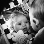 13/365: My friend Jean gave us this mirror and Lucy is checking herself out in it.