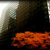 leahc > PhotoBlog photo
