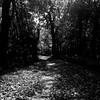 leahc > PhotoBlog photo