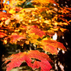 leahc > PhotoBlog photo