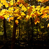 leahc > PhotoBlog photo